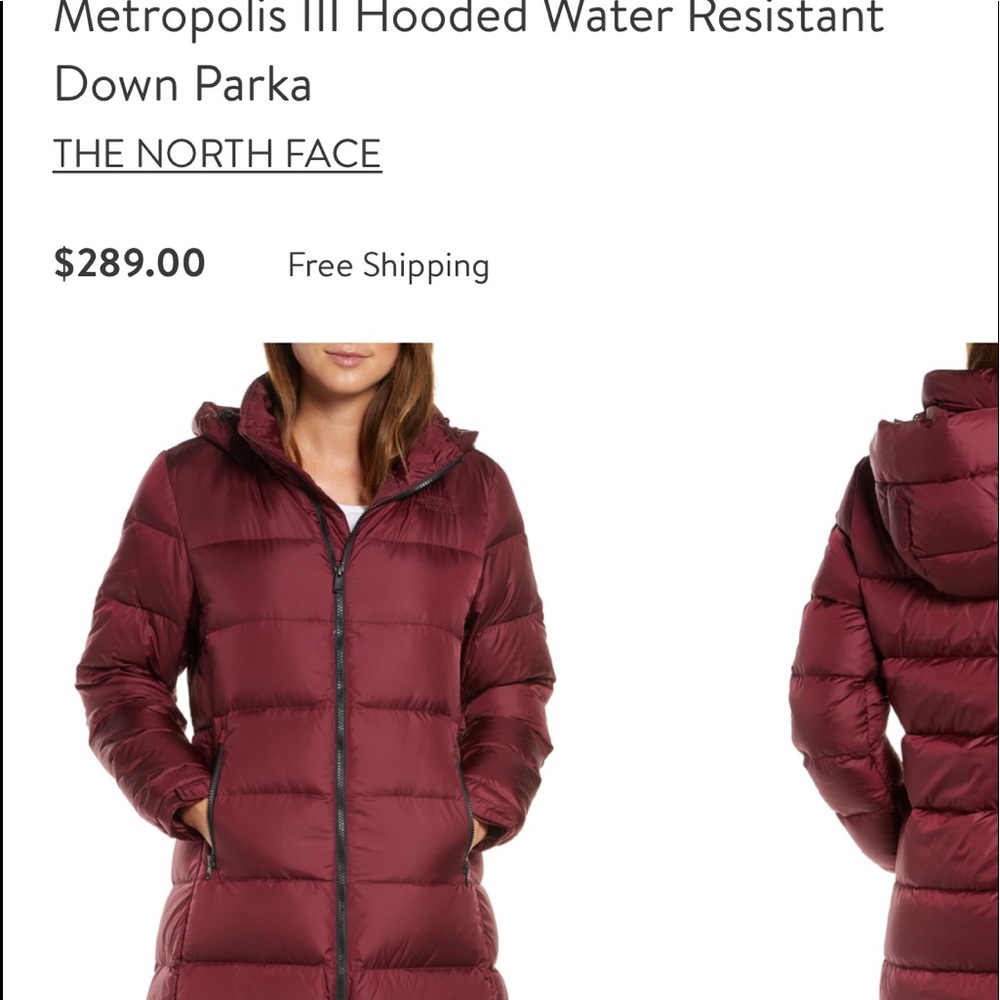 The north face parka